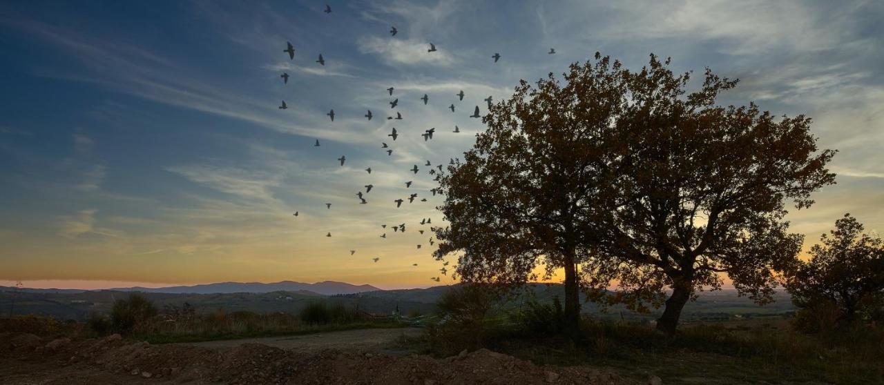 Poggio Tamantino, Villa Con Piscina In Maremma Poggio Cavallo Zewnętrze zdjęcie